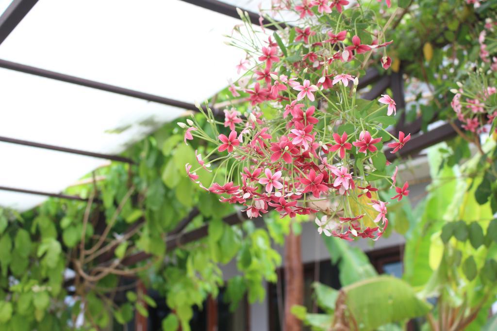 Phatong Residence بوفوت المظهر الخارجي الصورة